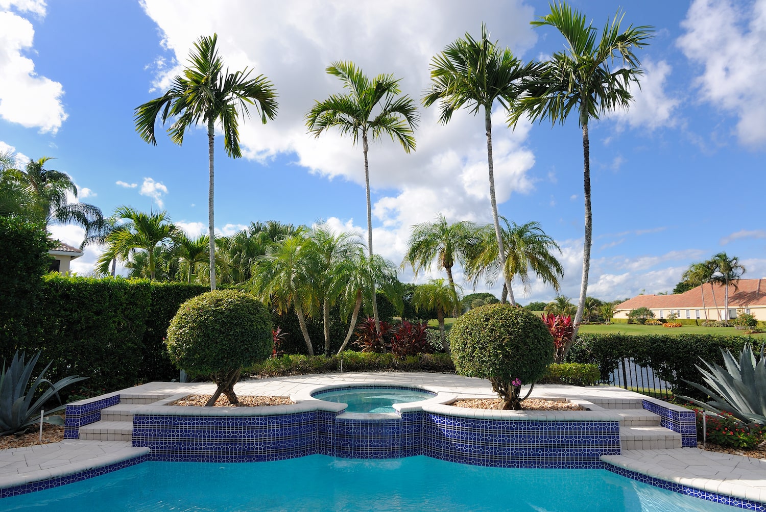 Choosing the Right Pool Shape for Your Backyard
